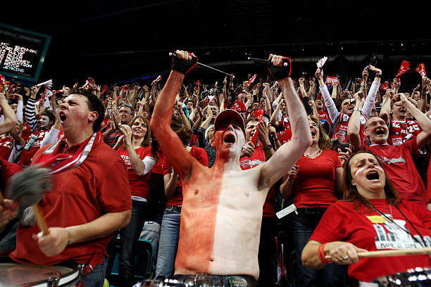 稳健与冷静 稳健与冷静